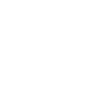 icon2